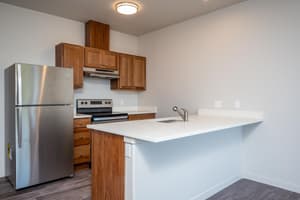 Kitchen with stainless steel appliances and wood cabinets at 459 Rock Apartments, 459 SE 192nd Ave, Gresham, Oregon 97233