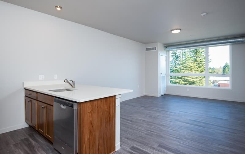 Open-concept kitchen and living room at 459 Rock Apartments