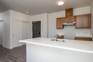 Kitchen with wood cabinets and quartz countertops at 459 Rock Apartments, 459 SE 192nd Ave, Gresham, Oregon 97233