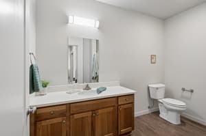 Bathroom with wood cabinetry, large mirror at 459 Rock Apartments, 459 SE 192nd Ave, Gresham, Oregon 97233