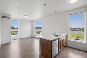 Modern two-bedroom kitchen with stainless steel appliances at 459 Rock Apartments