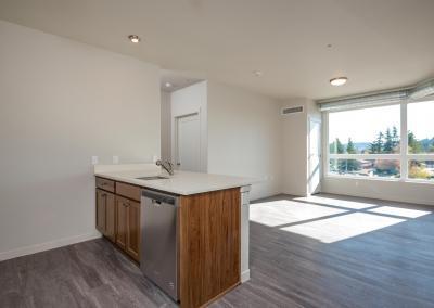 459 Rockwood Apartments - Kitchen and Living Room