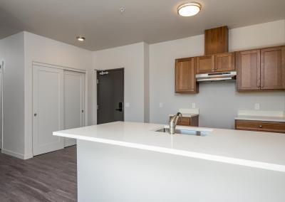 459 Rockwood Apartments - Kitchen Island