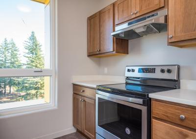 459 Rockwood Apartments - Kitchen Range and Oven